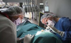 Maxillofacial Surgeon Birla Healthcare