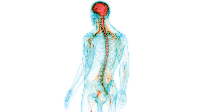 Help-Solve-Your-Nerve-Problems-with-Ayurveda