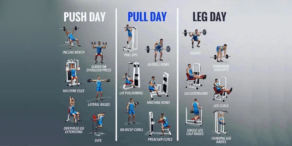 What Does a Push, Pull, Legs Workout Look Like