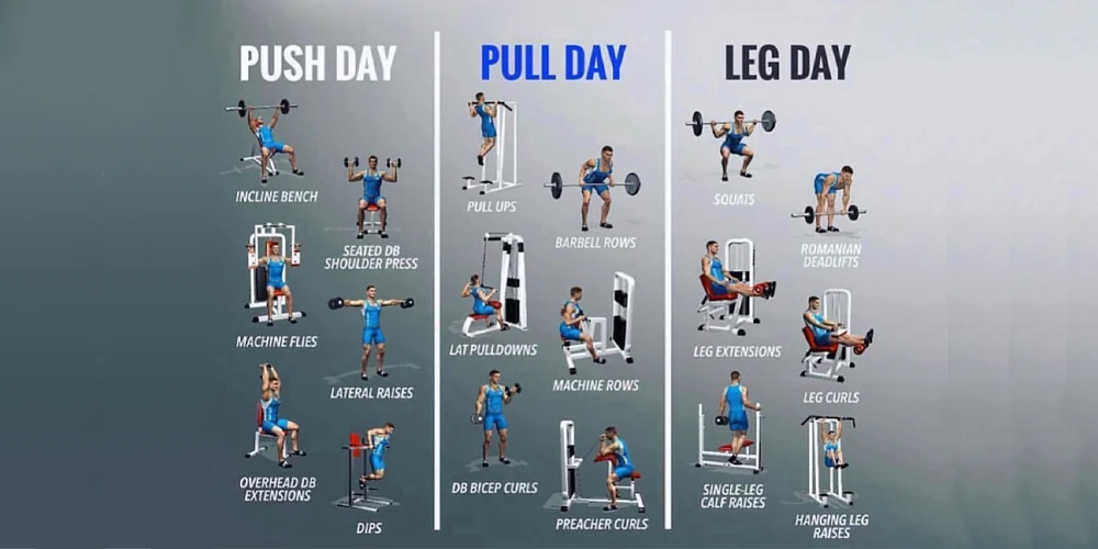 The PERFECT Legs Workout (PUSH, PULL