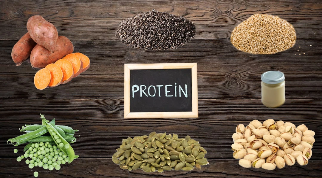 Surprising Sources Of Protein