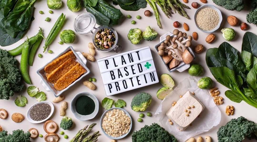 Plant based Protein