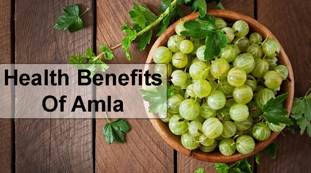 Health Benefits Of Amla